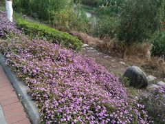 -华侨大学(厦门校区)