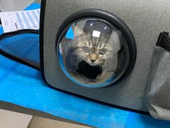 -萌兽医馆·绝育·24小时内科·宠物医院(德胜店)
