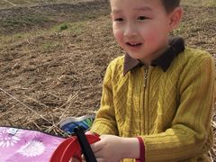 -洨河生态公园