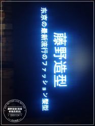-藤野造型