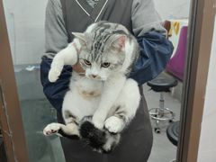 -瑞鹏宠物医院·超声·骨科·奇麟分院(蜀都万达店)