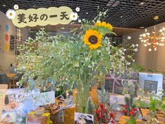 -ZING COFFEE 镜咖啡