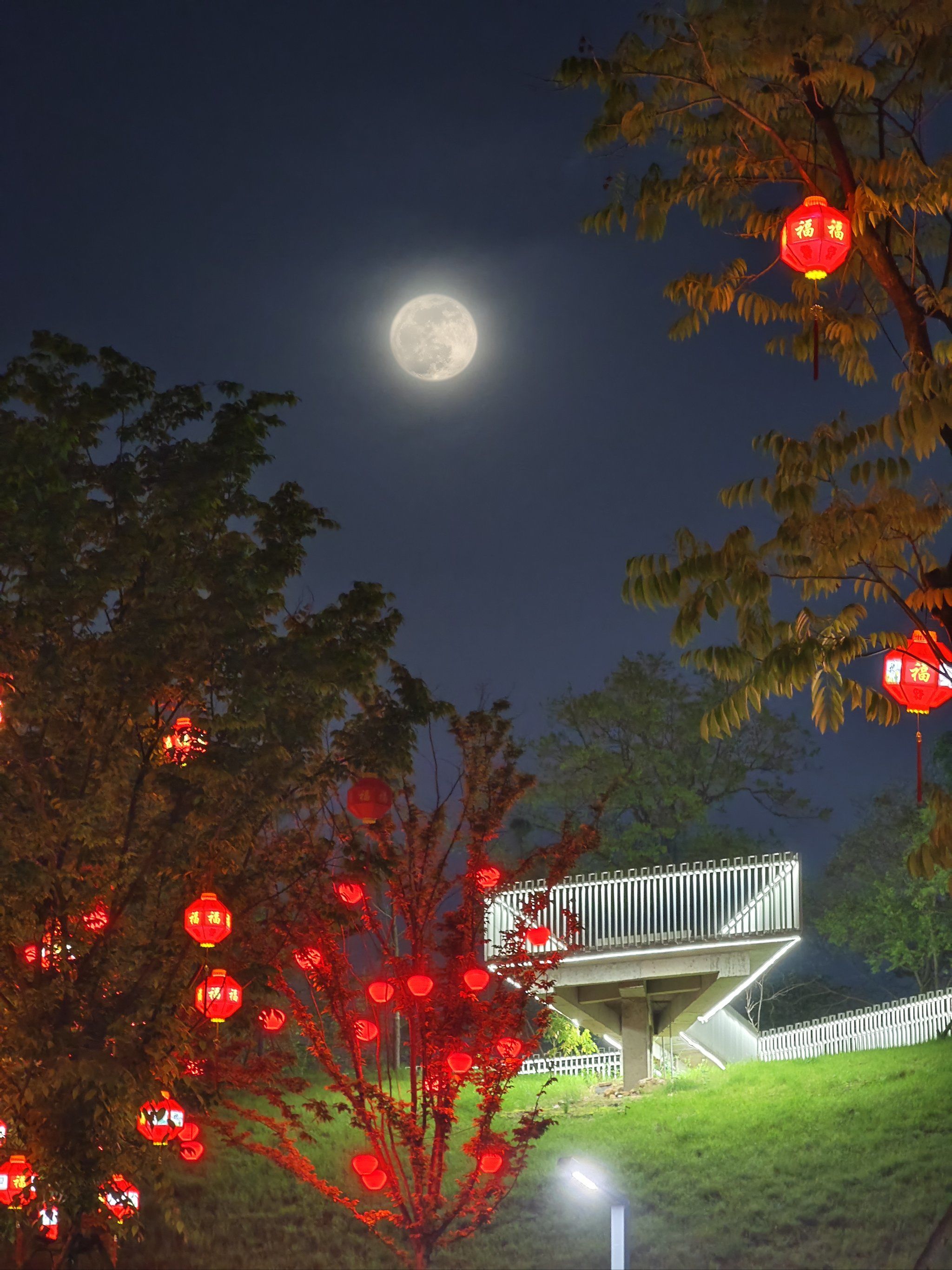 海宁横头街晚上有点美