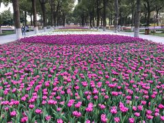 -上海鲜花港