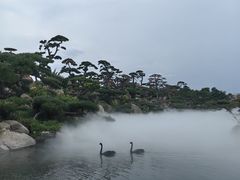 -罗红摄影艺术馆