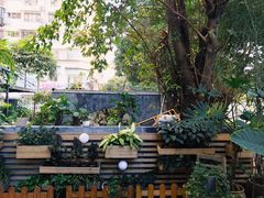 -时光花园(白鹭洲店)