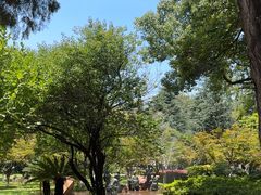 -云南师范大学(一二一西南联大校区)