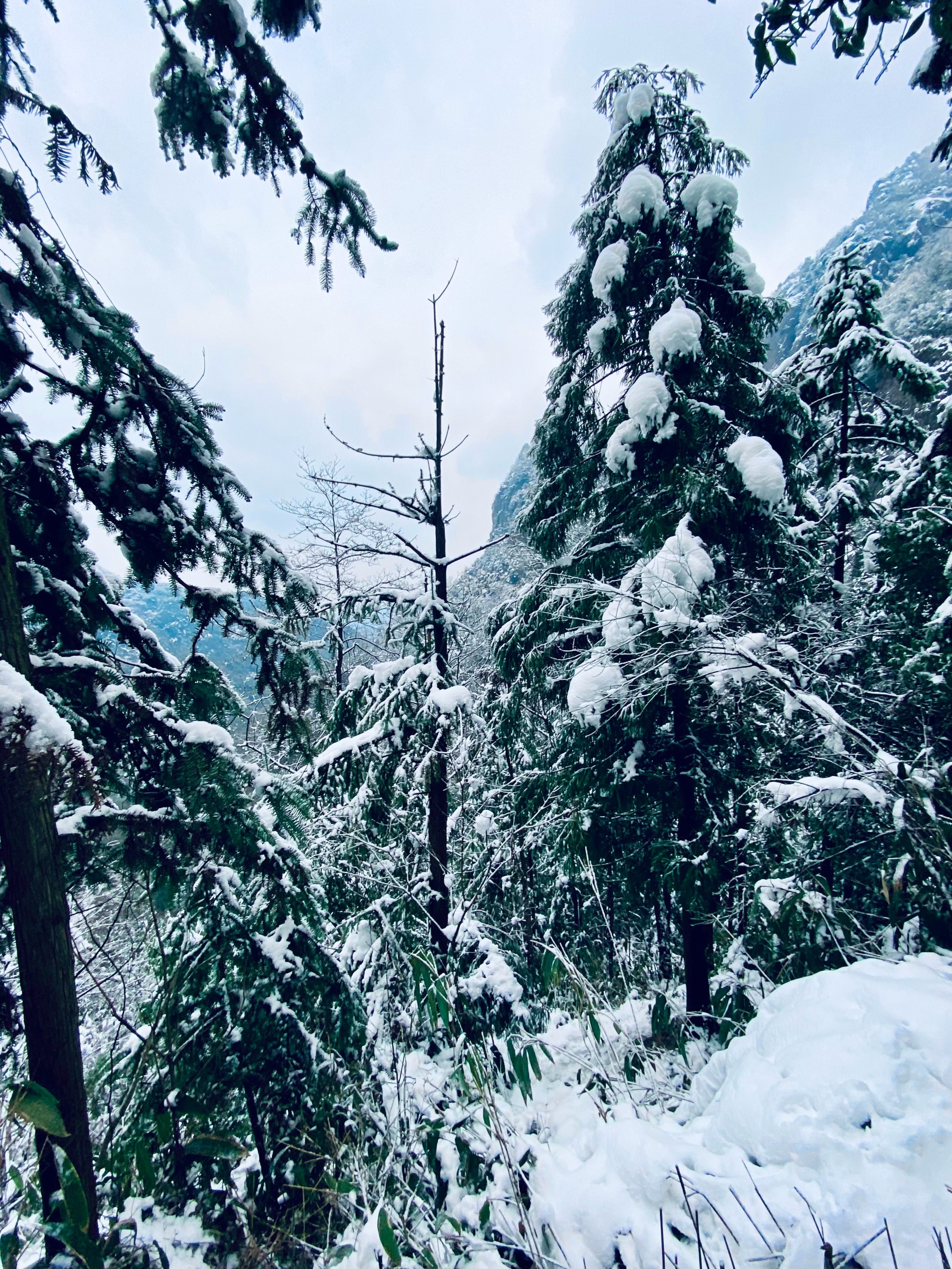 富阳龙门山雪景图片