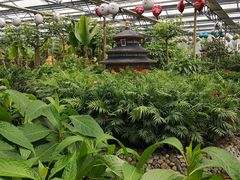 -南宫五洲植物乐园