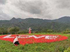 -紫云台香草园