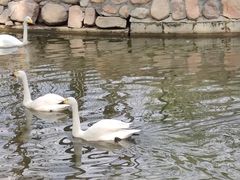 -秦皇岛野生动物园