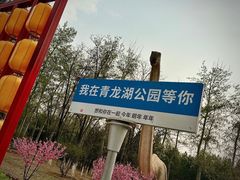 -青龙湖公园