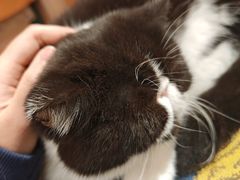 -平行世界·猫咖(首经贸店)