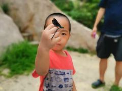 -碓臼峪自然风景区