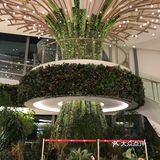 浪漫空间[胜利]