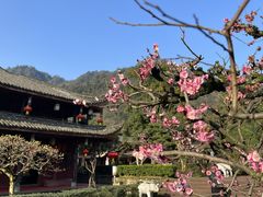 -峨眉山风景名胜区