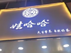门面-娃哈哈·奶茶(武林店)