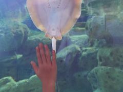 -珠海长隆海洋王国