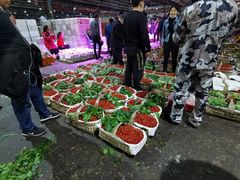-菜园坝水果市场
