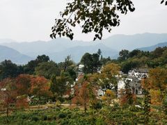 -塔川景区