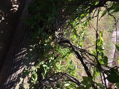 长春公园-长春公园(普阳街道)