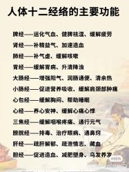 -香薇妮丝女子减肥院