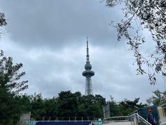 -青岛中山公园-索道售票处