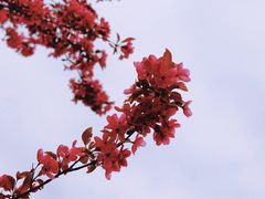 -陶然亭公园
