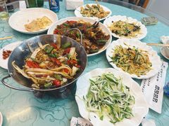 -东北四季饺子王(华山路店)