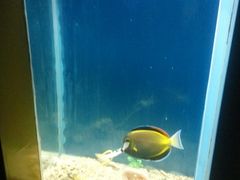 -北戴河圣蓝海洋公园