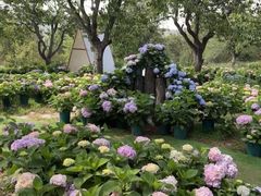 -名花谷生态庄园