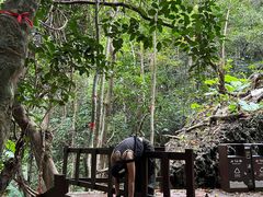 -七仙岭温泉国家森林公园