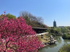 -盘门景区