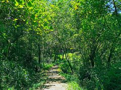 -南京市无想山景区