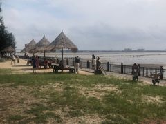 -北海金海湾红树林生态旅游区