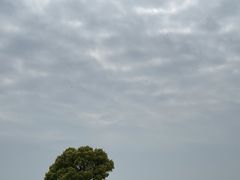 -山明水秀大饭店