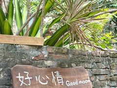 -小洲村