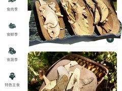 -芸山季·云南山珍菌火锅(人民广场来福士店)