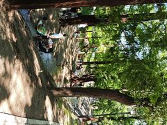 -白水寺森林公园