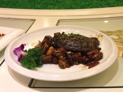 甲鱼-艳阳天酒店(五里新村店)