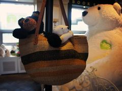 -济州岛泰迪熊博物馆