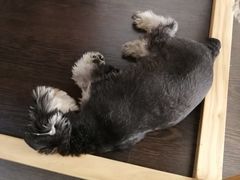 -仰生如卉推拿养生馆(酒仙桥店)