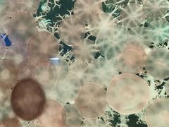-珠海长隆海洋王国