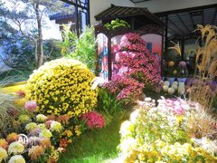 -杭州植物园
