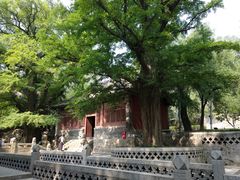 -晋祠公园