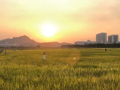 -光明小镇欢乐田园