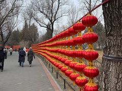 -国家植物园南园