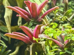 -Zoolung Zoolung动物主题公园(海信广场店)