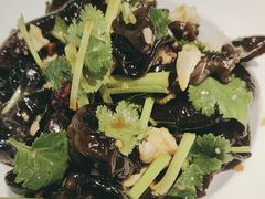 -洞庭家宴·头牌甲鱼(广渠门店)
