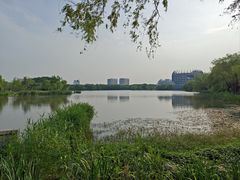 -东华大学(松江校区)